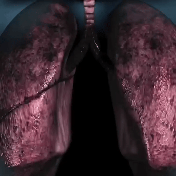 Longtrainer voor langere adem