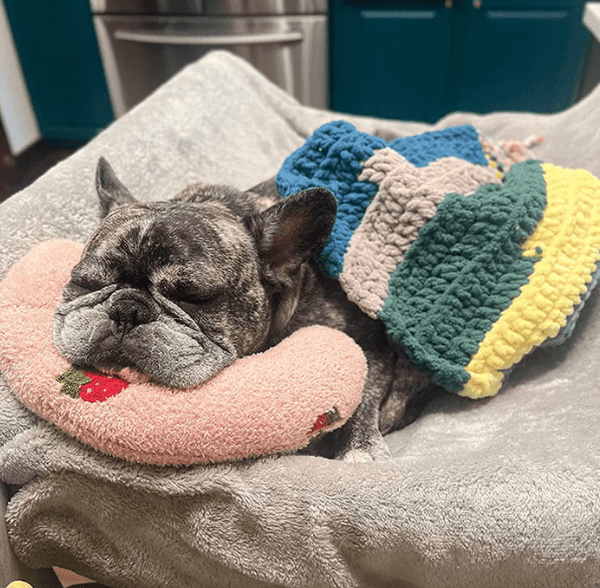 Fluffy Dierenkussen - Belloro Care