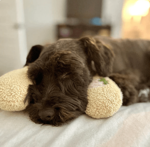 Fluffy Dierenkussen - Belloro Care