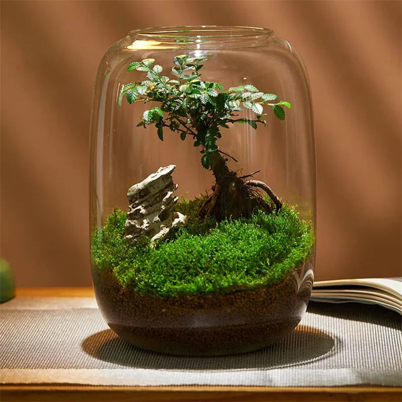 Glazen Terrarium Vaas