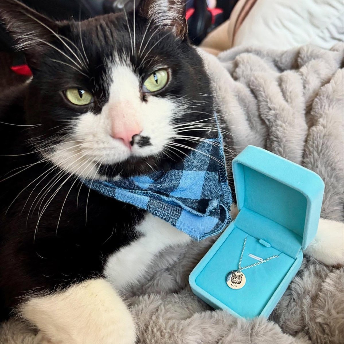 Persoonlijke Huisdier Ketting - Belloro Care