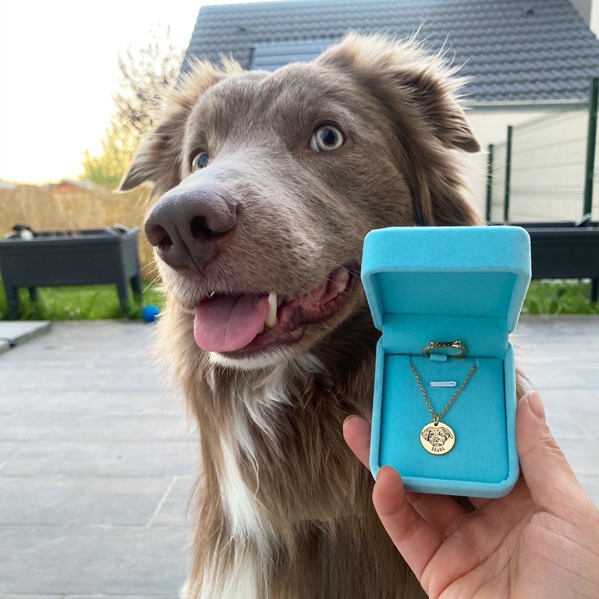 Persoonlijke Huisdier Ketting - Belloro Care