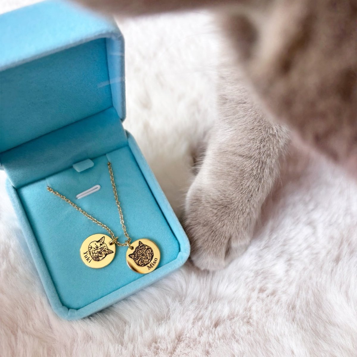 Persoonlijke Huisdier Ketting - Belloro Care