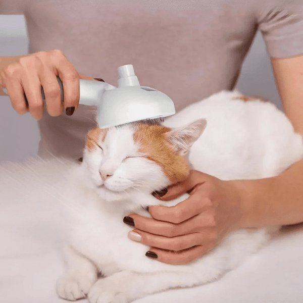 Zachte ZottelBürste voor Dieren - Belloro Care