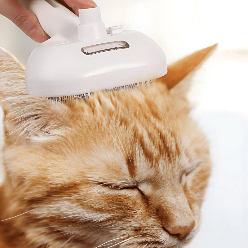 Zachte ZottelBürste voor Dieren - Belloro Care